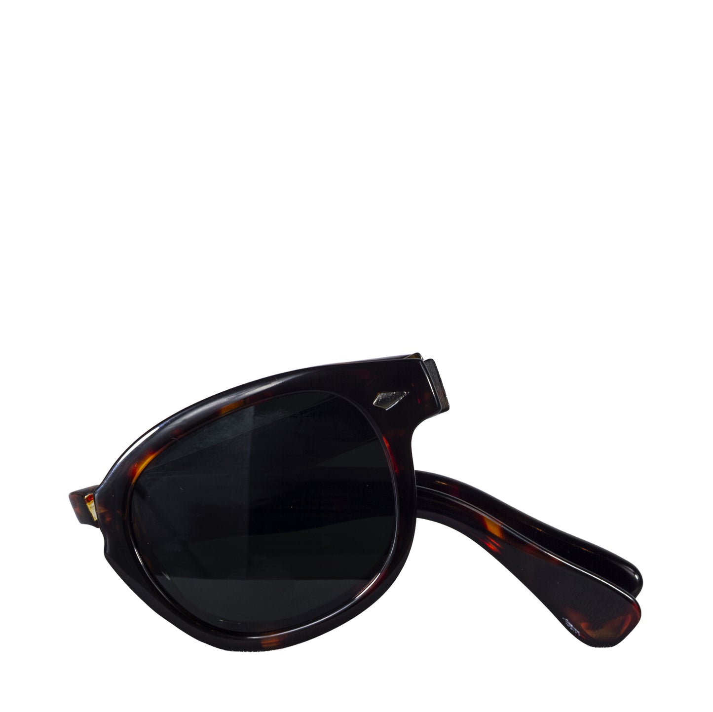 CRUX TURTLE
