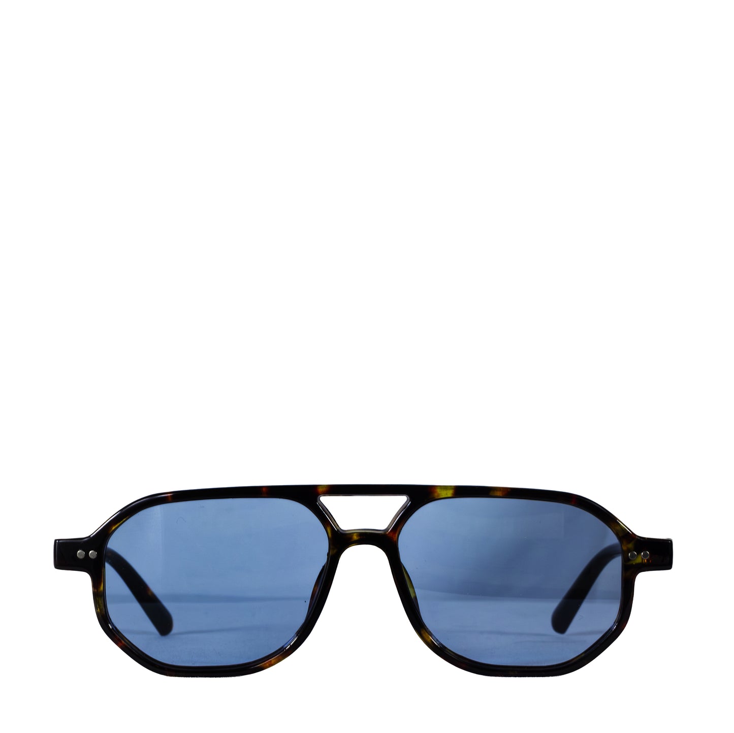 PEGASUS TURTLE BLUE