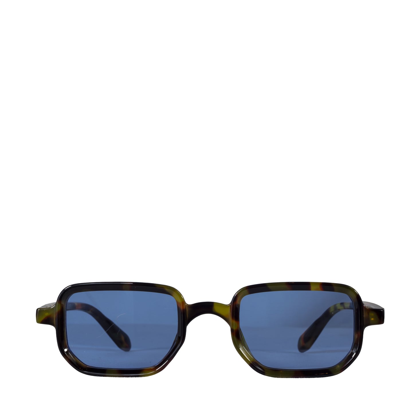 HYDRA TURTLE BLUE