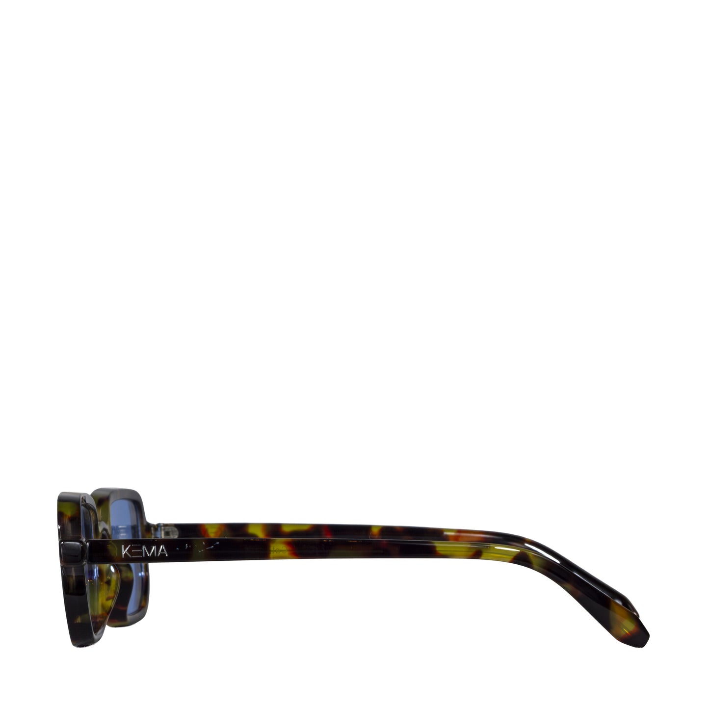 HYDRA TURTLE BLUE